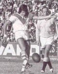 Tony Quirk - St George Dragons rugby league history